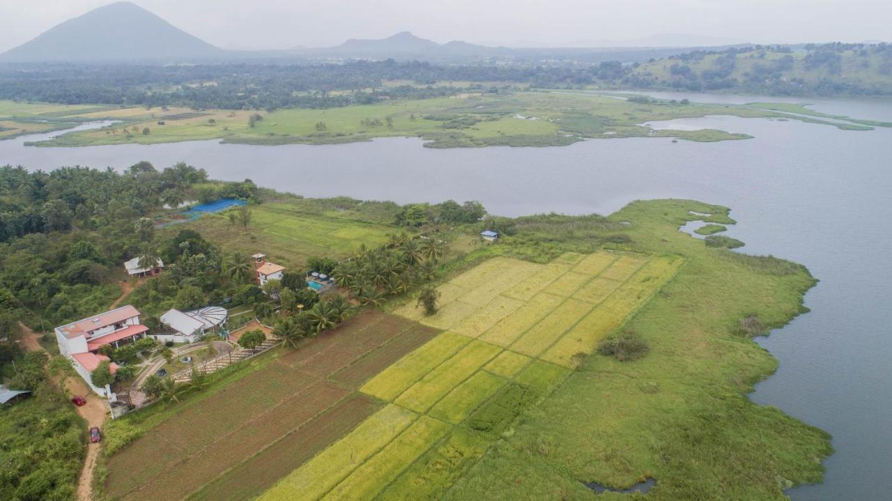 Nilambara Lake View Дамбулла Екстер'єр фото