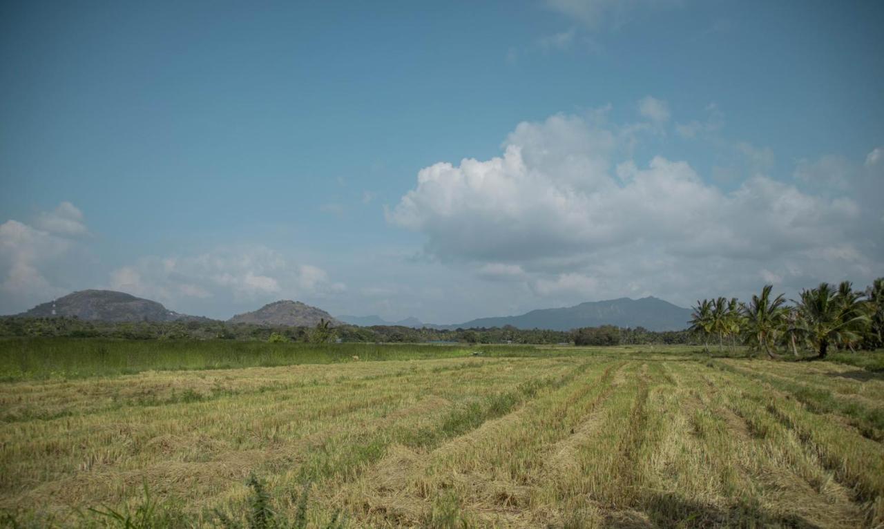 Nilambara Lake View Дамбулла Екстер'єр фото