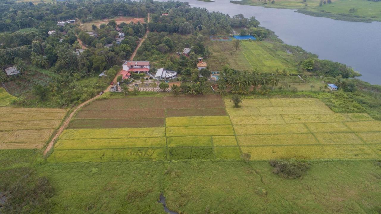 Nilambara Lake View Дамбулла Екстер'єр фото